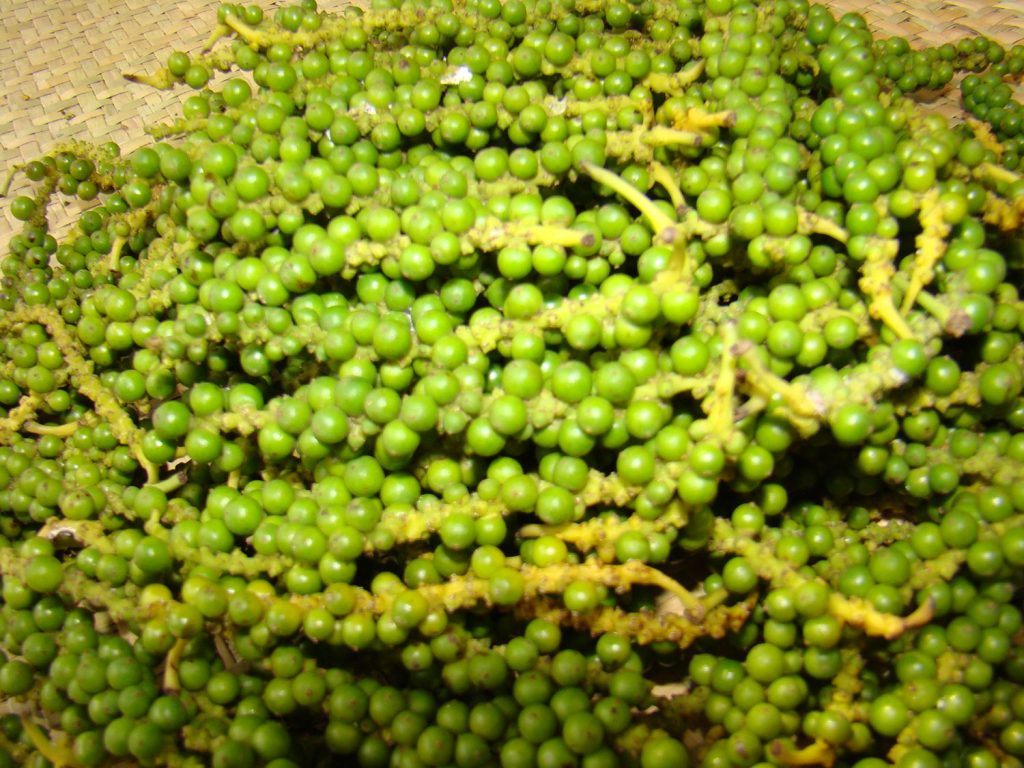 Kampot Pepper Cooperative